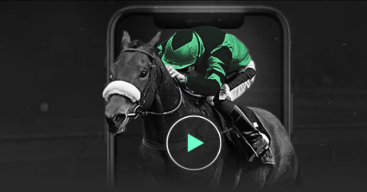 周穗安展望,粤港足球合,作共进,星空体育官网,星空体育App,星空体育网页版,星空体育平台,星空体育在线